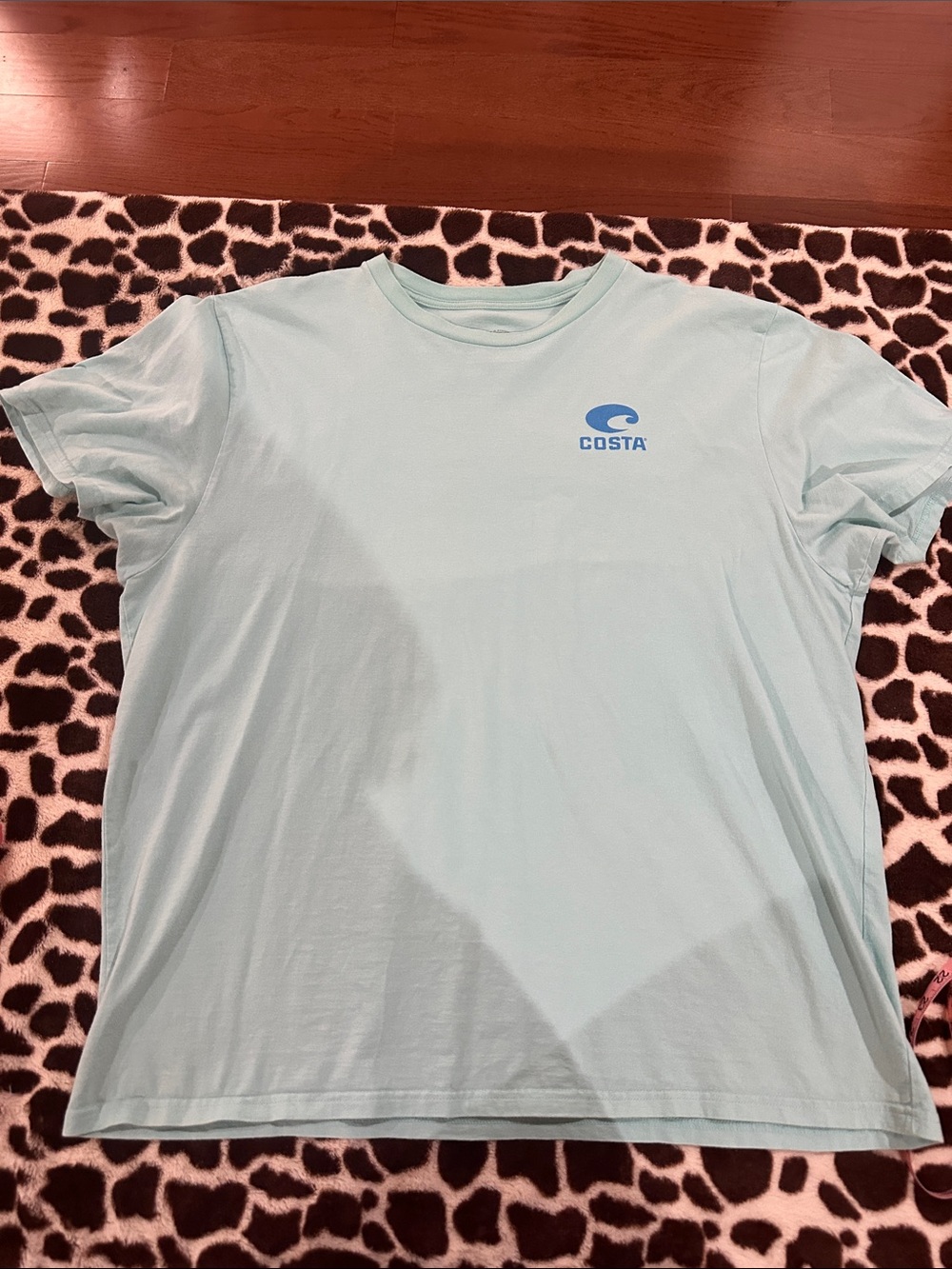 Costa Teal-ish-/blue-ish Logo Tee